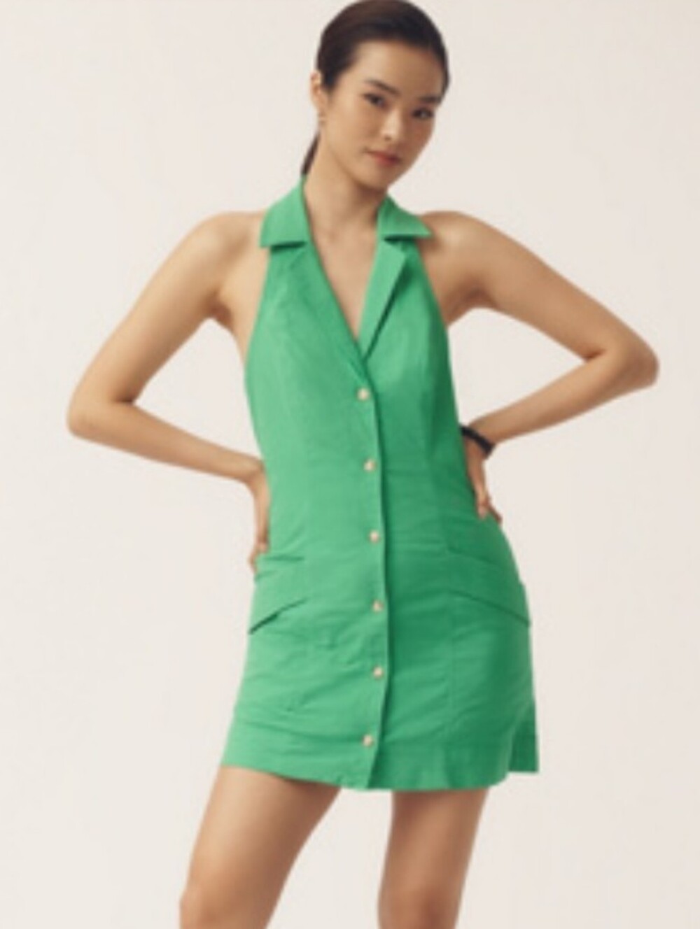 NWT The Amelia Collared Mini Dress by Maeve